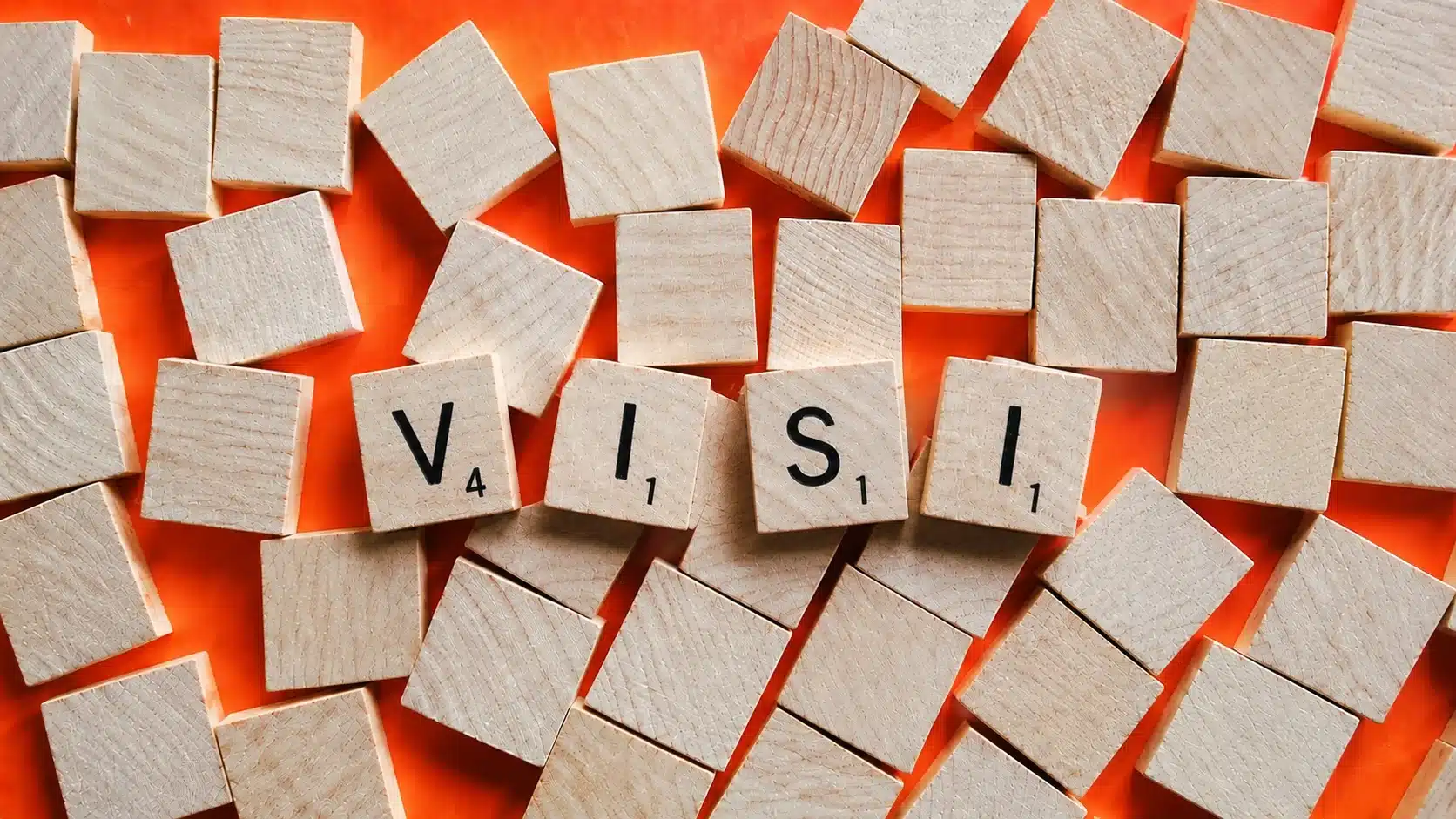 Visi Perusahaan